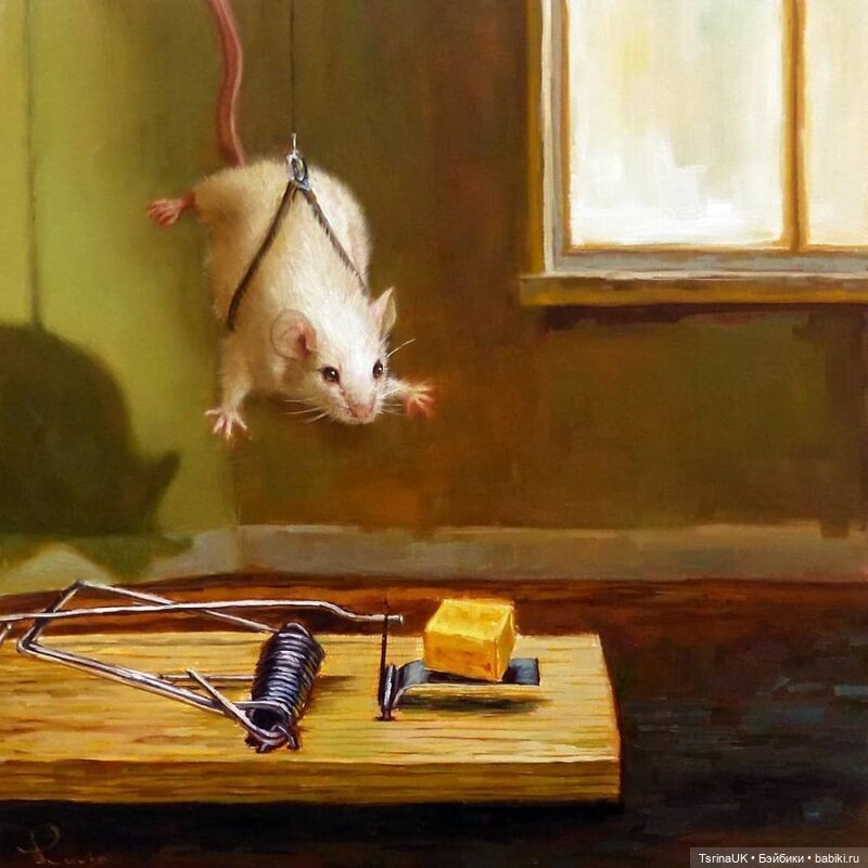 Тайная жизнь мышек — В мире животных: смешные фото питомцев и зверей