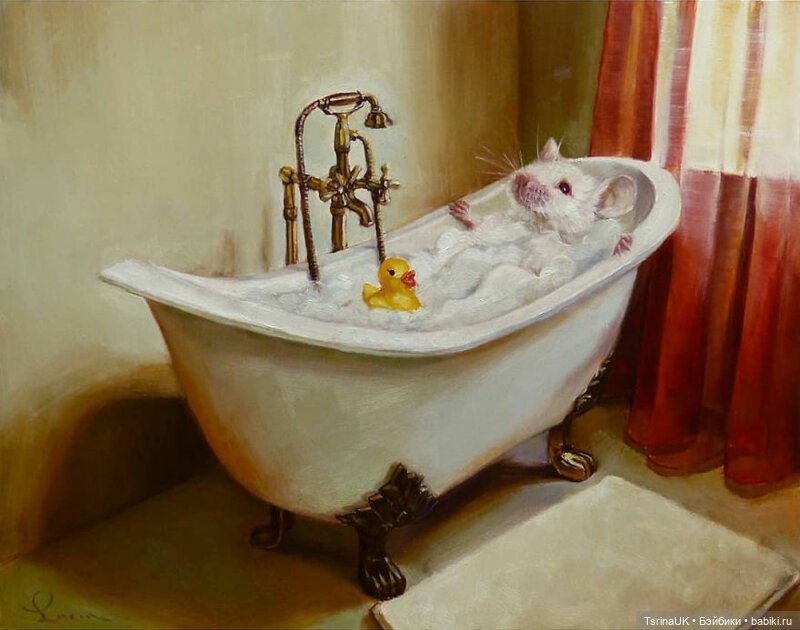 Тайная жизнь мышек — В мире животных: смешные фото питомцев и зверей