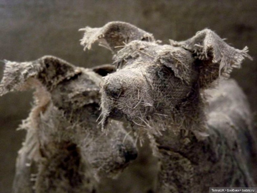 Удивительные собаки из ветоши от Хелен Томсон (Helen Thompson) (фото 8)