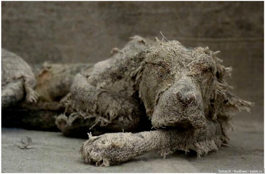 Удивительные собаки из ветоши от Хелен Томсон (Helen Thompson)