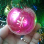 Что растёт на ёлке