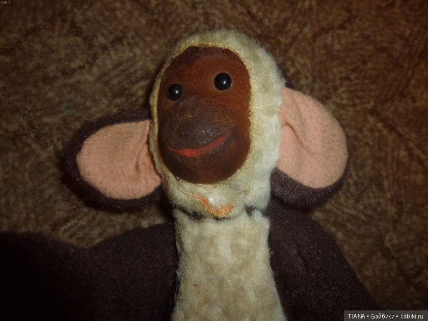 Моя Обезьянка нашлась — Болталка и разговоры обо всем: жизнь (фото 4)