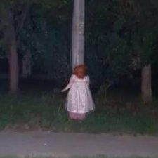 Не пропадать же добру