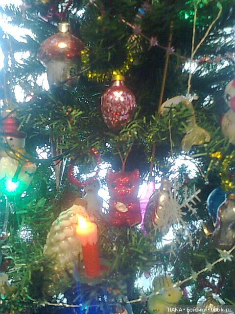 До свидания, ёлочка! До декабря