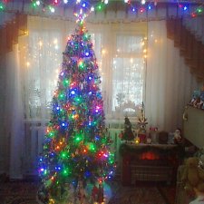 До свидания, ёлочка! До декабря!