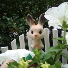 Зайка из прошлого