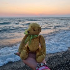 Медведь для дальних поездок.