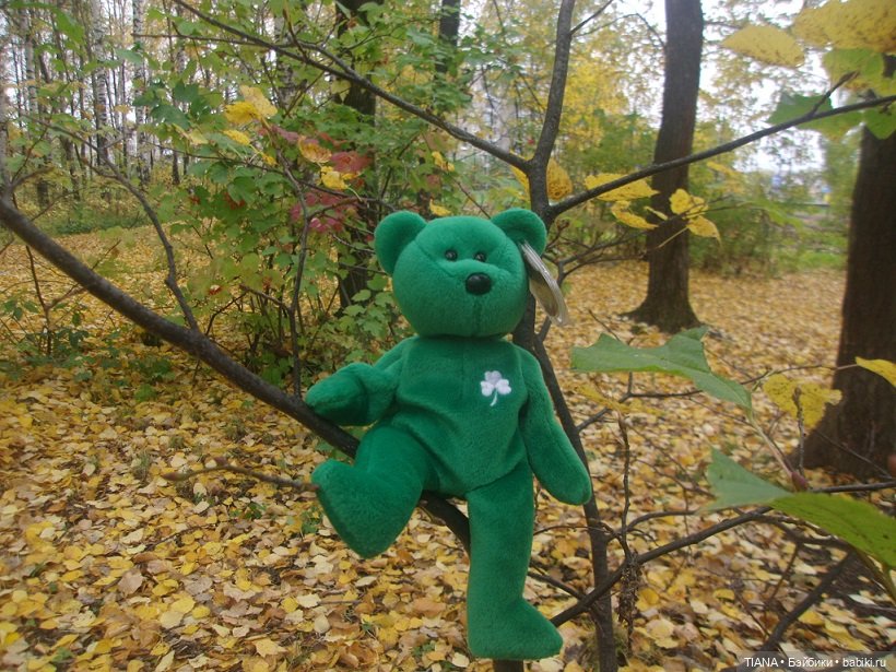 Бини мания. Мишки Beanie Babies