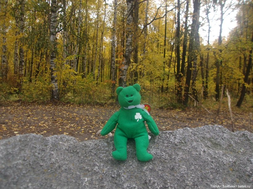 Бини мания. Мишки Beanie Babies