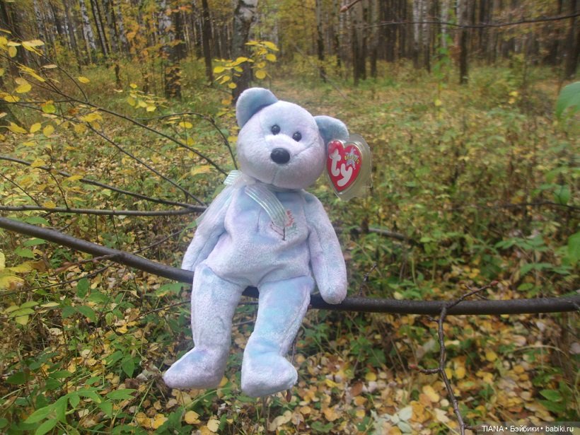 Бини мания. Мишки Beanie Babies (фото 10)