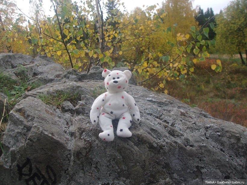 Бини мания. Мишки Beanie Babies