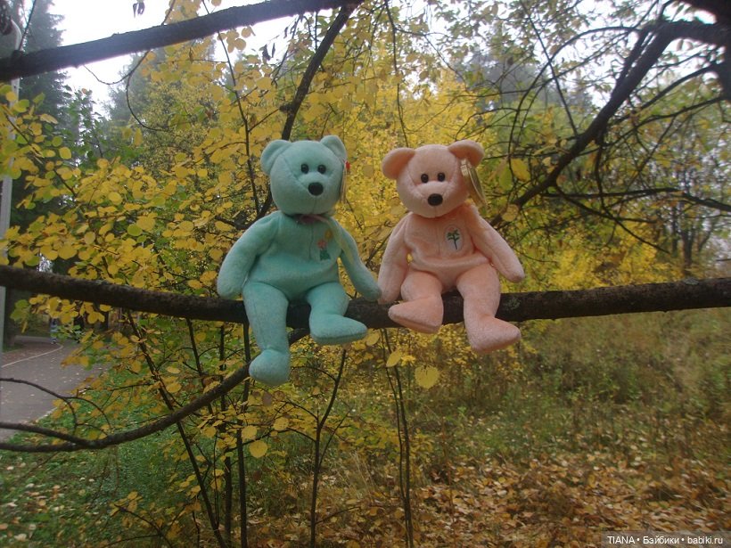 Бини мания. Мишки Beanie Babies (фото 9)