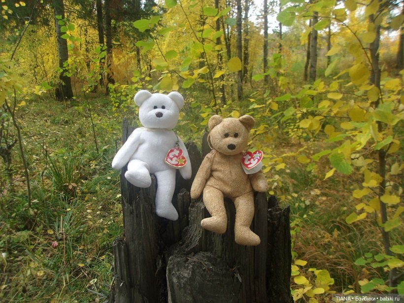 Бини мания. Мишки Beanie Babies (фото 2)