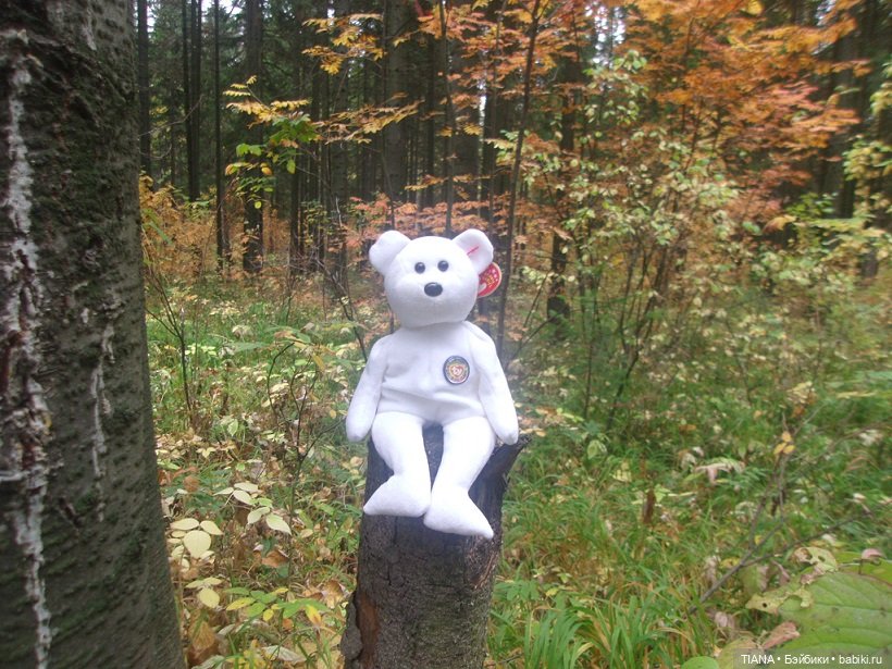 Бини мания. Мишки Beanie Babies (фото 8)