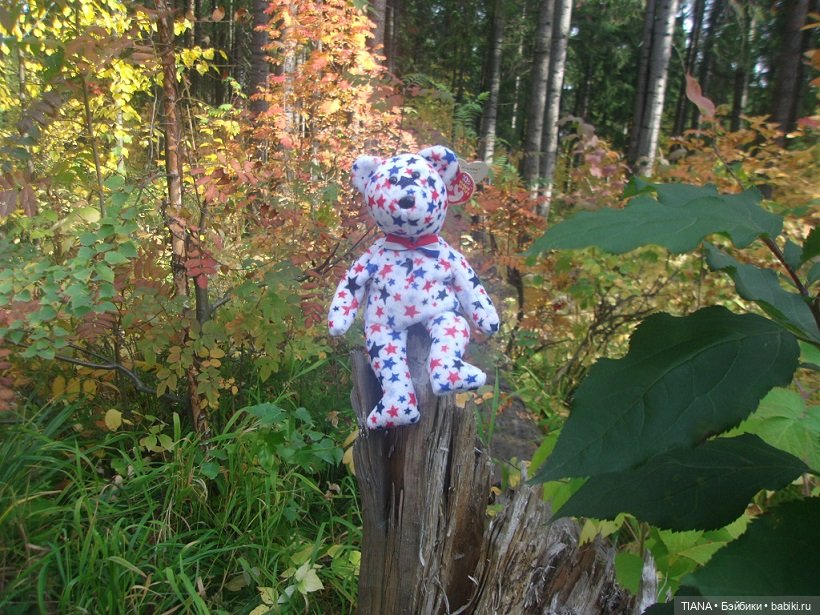 Бини мания. Мишки Beanie Babies (фото 7)