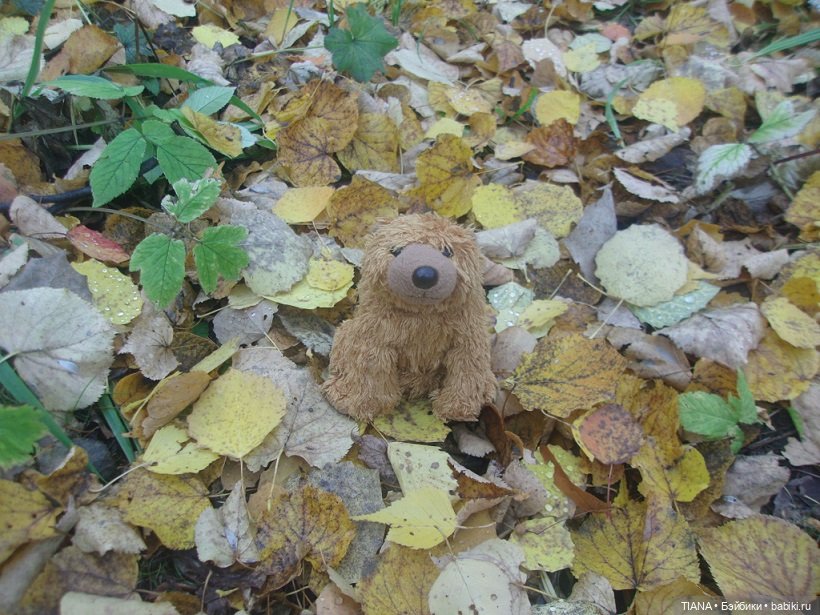 Бини мания. Мишки Beanie Babies