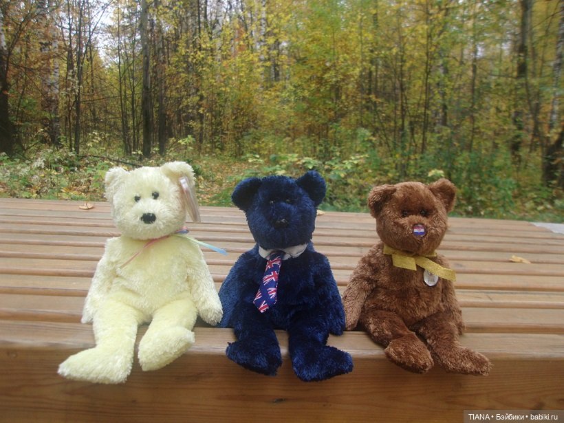 Бини мания. Мишки Beanie Babies (фото 6)