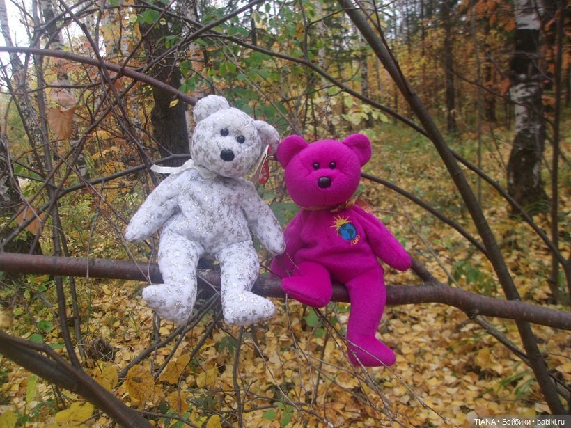 Бини мания. Мишки Beanie Babies (фото 5)