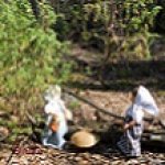 Лесная прогулка