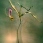 Мамина грустинка.