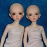 Lonnie Special Edition от компании Iplehouse.