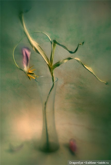 Мамина грустинка — Куклы Dollzone (Доллзон): BJD (БЖД)