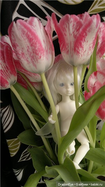 Мамина грустинка — Куклы Dollzone (Доллзон): BJD (БЖД) (фото 3)