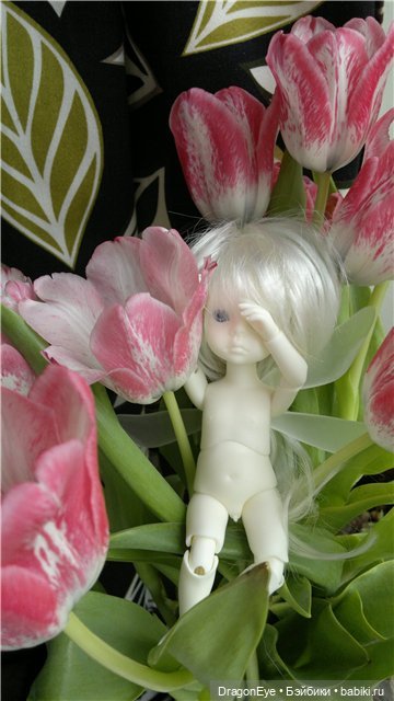 Мамина грустинка — Куклы Dollzone (Доллзон): BJD (БЖД) (фото 5)