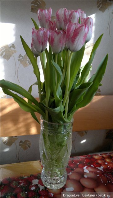 Мамина грустинка — Куклы Dollzone (Доллзон): BJD (БЖД)