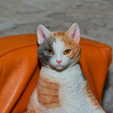 Трёхцветный котик от JXK Studio