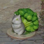 Хомяколли или Брокомяк из серии Dodowo Vegetable Fairy №6.