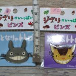 Seisen Ghibli is full Pins Totoro