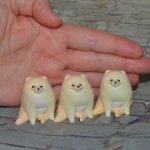 Капсульная игрушка Animal Attractions Pomesanpo №6