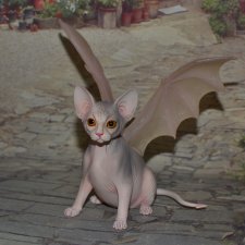 Фантастическое существо крылатая кошка сфинкс №2