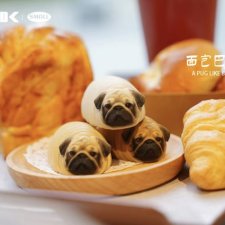 Дружок-пирожок мопсик JXK B2