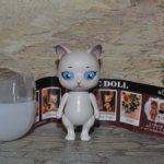 Capsule doll Котик №1