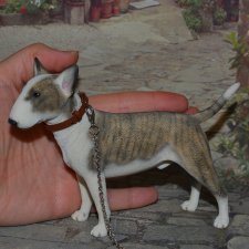 Бультерьер JXK Studio №2