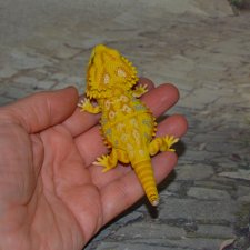 Гасяпон Bandai Gashapon Ящерица №5_2