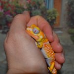 Гасяпон Bandai Gashapon Геккончик №3_1