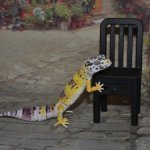 Гасяпон Bandai Gashapon геккон №2