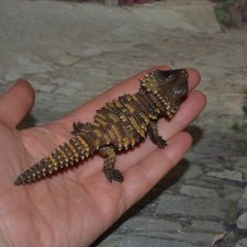 Гасяпон Bandai Gashapon Ящерица №3_2