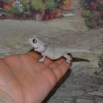 Гасяпон Bandai Gashapon ящерка №3_3