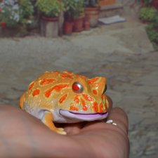 Bandai Рогатая лягушка №3_1