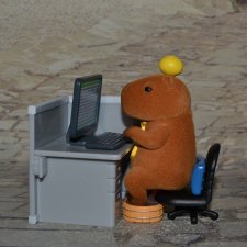 Monday Bruce Капибара №4