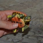 Bandai черепаха №4