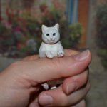 Котик гасяпон от Kaiyodo №4