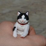 Котик гасяпон от Kaiyodo №2