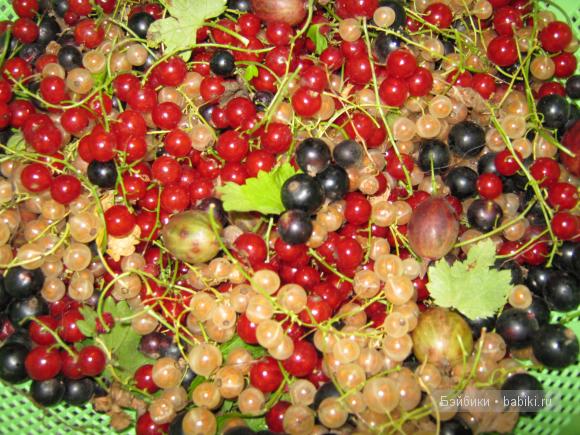 витаминчики