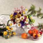 Женщина-инвалид сшила более 100 нарядов для кукол пальцами ног