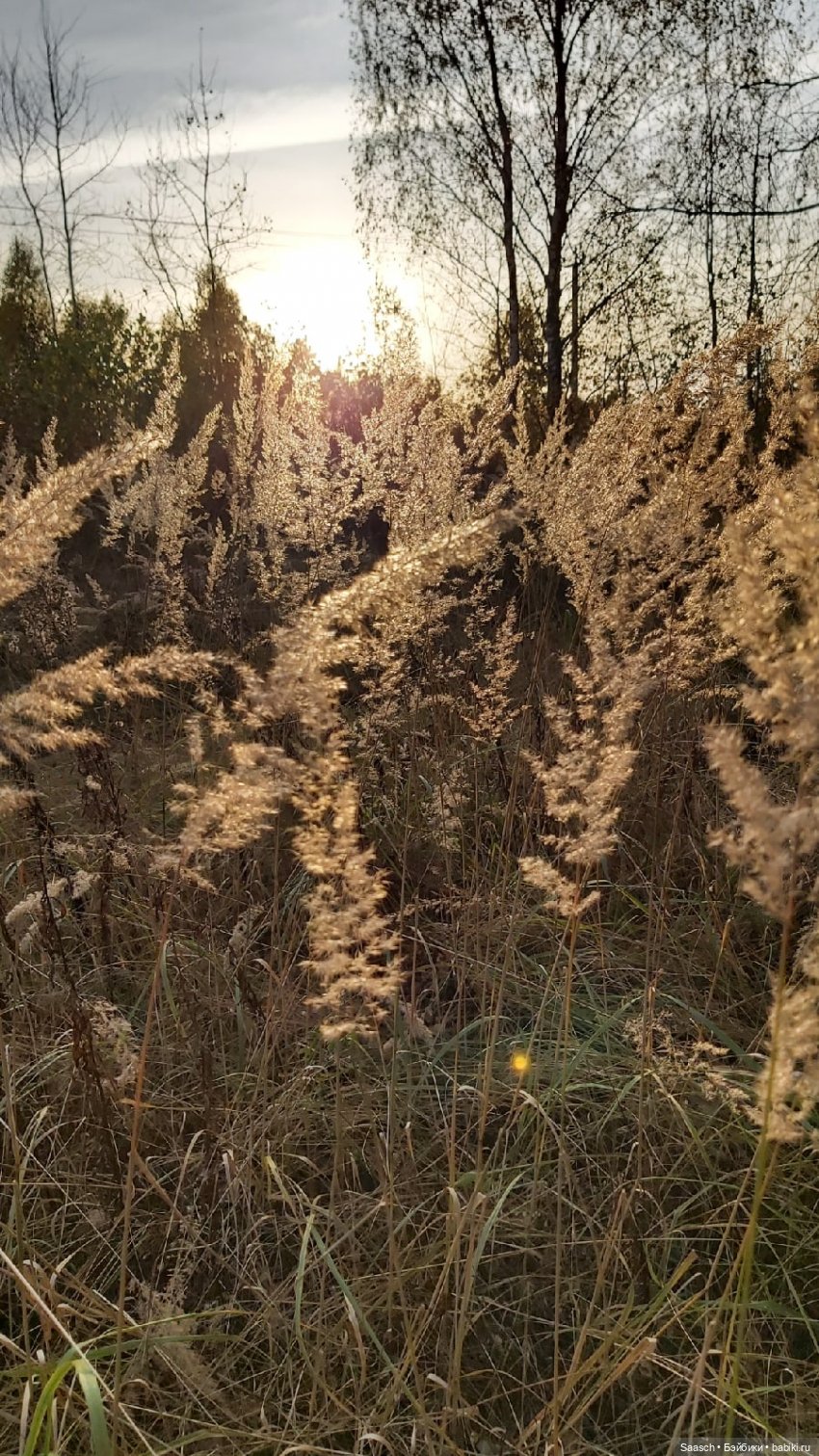 Лето в деревне. Бабушка и дед Костика Валеник